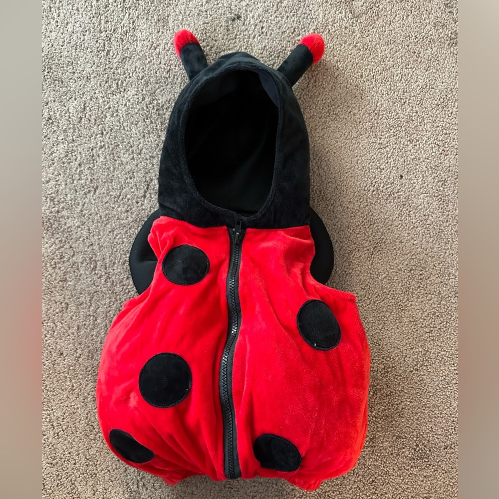 Lady Bug Costume